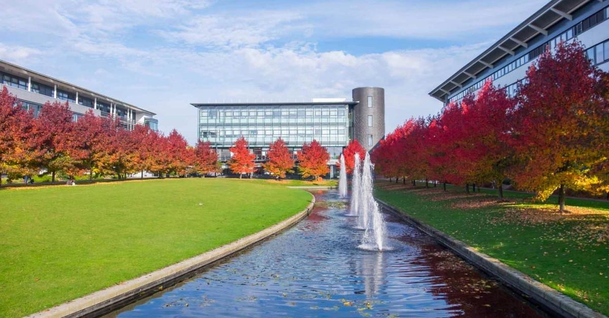 华威大学校园